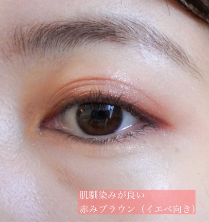 プティパレットアイズ/キャンメイク/パウダーアイシャドウを使ったクチコミ(2枚目)
