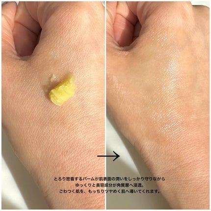 ワイルドローズビューティバーム/ニールズヤード レメディーズ/フェイスバームを使ったクチコミ(4枚目)