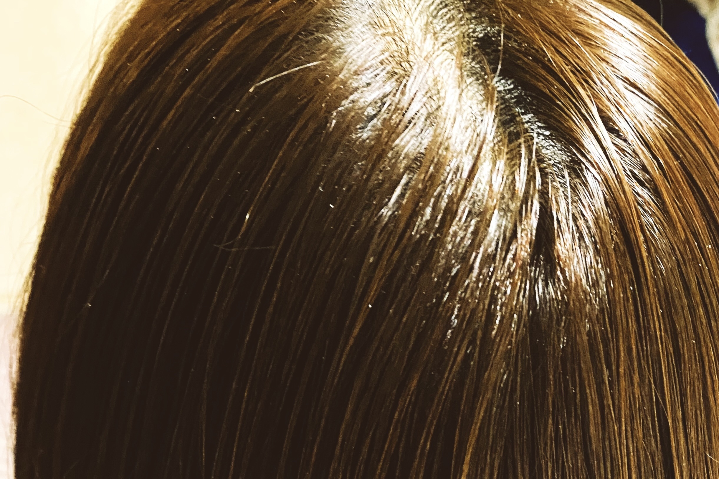 SEE/SAW ヘア＆スキャルプシャンプー/ヘアトリートメントバランス/LebeL/サロンシャンプーを使ったクチコミ（3枚目）