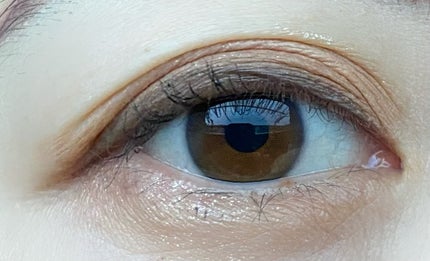 ビタートーンアイシャドウ/CEZANNE/パウダーアイシャドウを使ったクチコミ(9枚目)