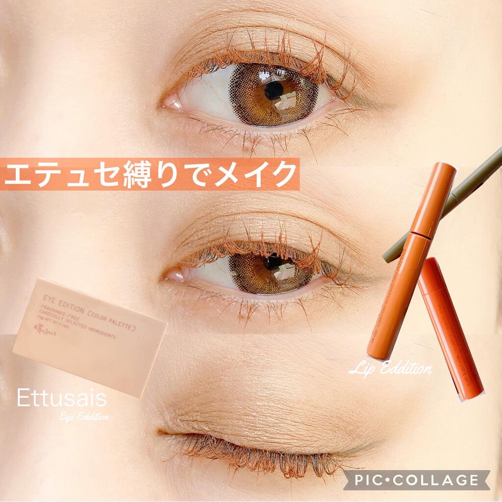 エテュセ リップエディション（プランパー）リッチスタイル/ヘルシースタイル ヘルシースタイル02 ブロンズオレンジ/ettusais/リップケアを使ったクチコミ（1枚目）