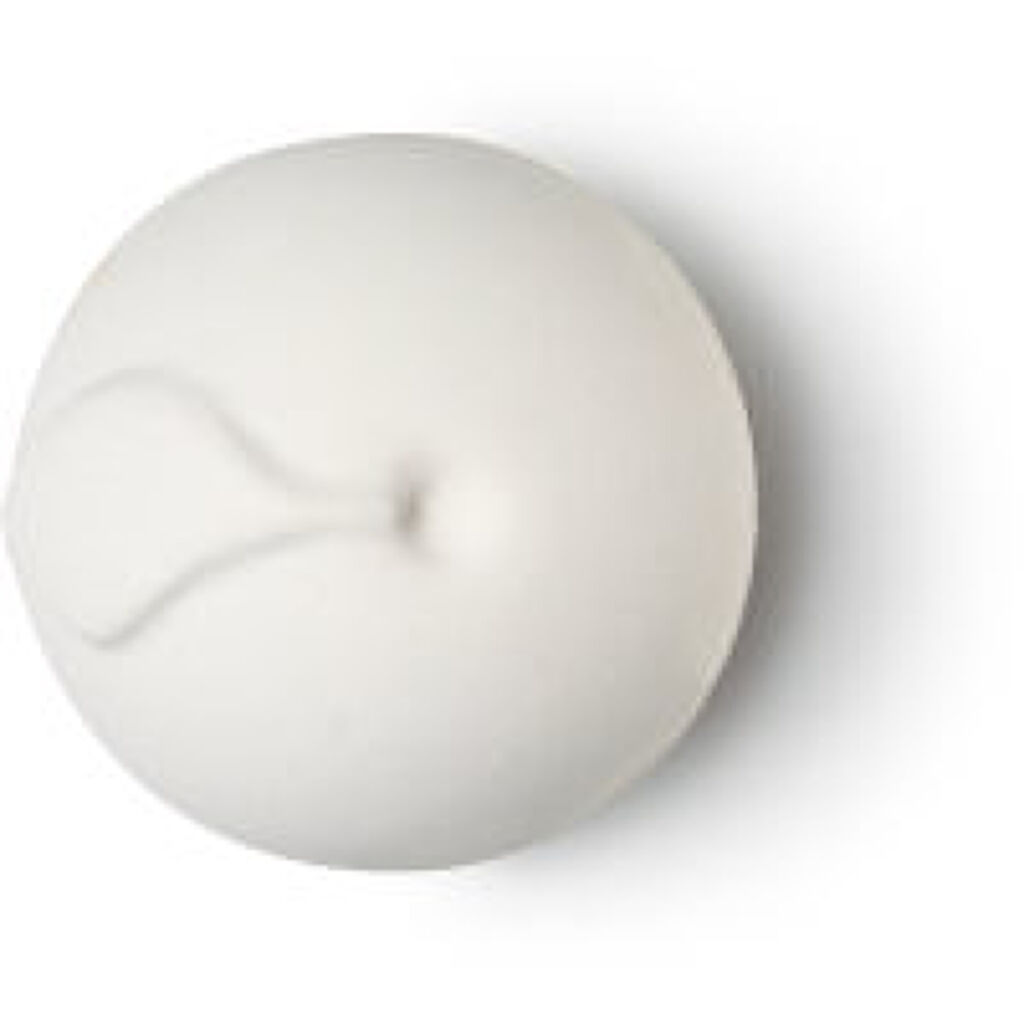 白雪姫と林檎 / ラッシュ