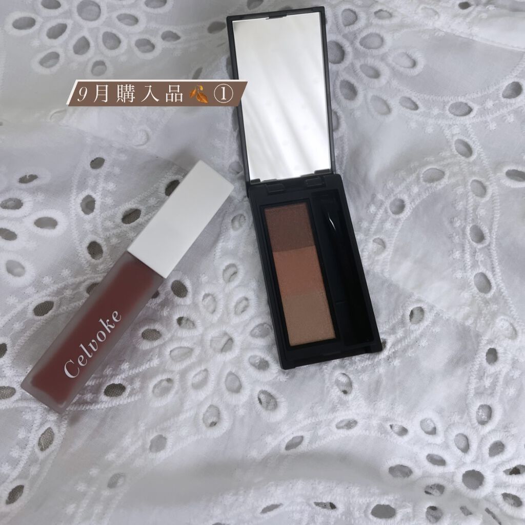 セルヴォーク インディケイトアイブロウパウダー/Celvoke/パウダーアイブロウを使ったクチコミ（1枚目）