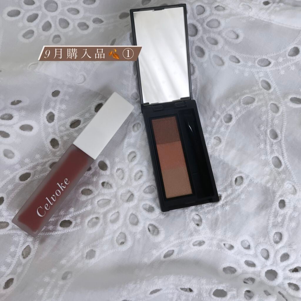 セルヴォーク インディケイトアイブロウパウダー/Celvoke/パウダーアイブロウを使ったクチコミ(1枚目)