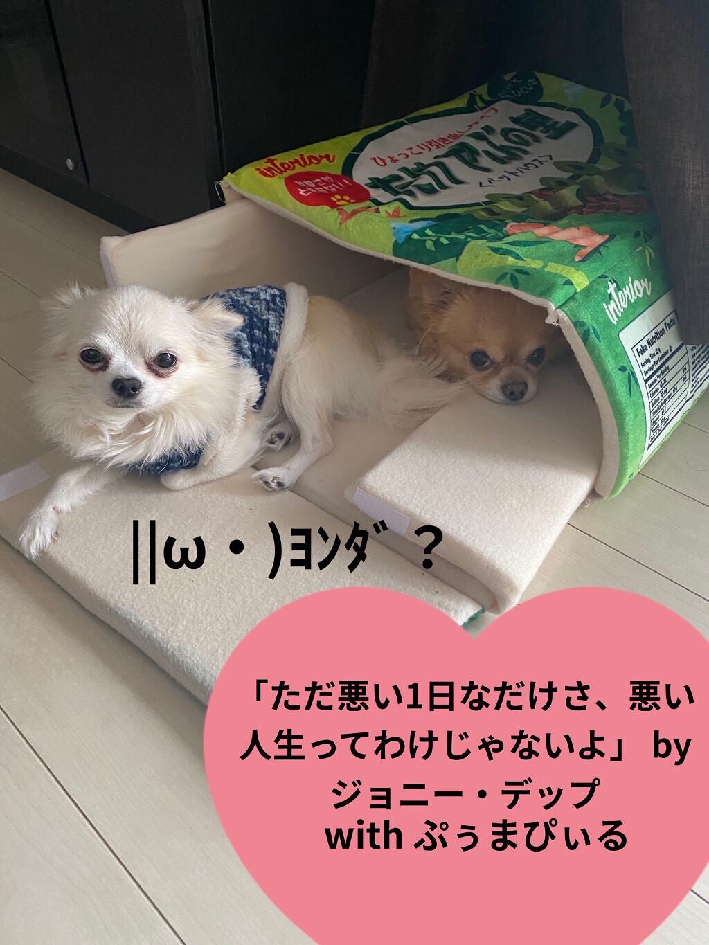 タカミスキンピール/タカミ/ブースター・導入液を使ったクチコミ(6枚目)