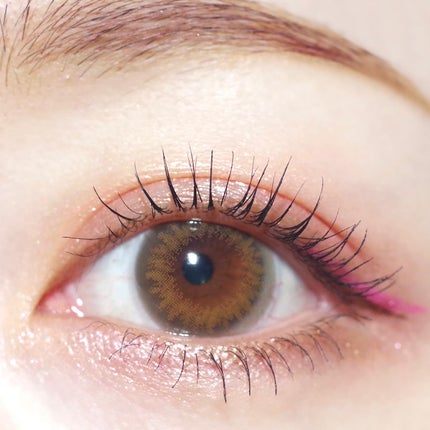 エレクトリックショックアイズ /KATE/アイシャドウパレットを使ったクチコミ(4枚目)