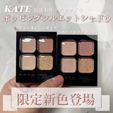 ケイト ポッピングシルエットシャドウ/KATE/アイシャドウパレットを使ったクチコミ(1枚目)