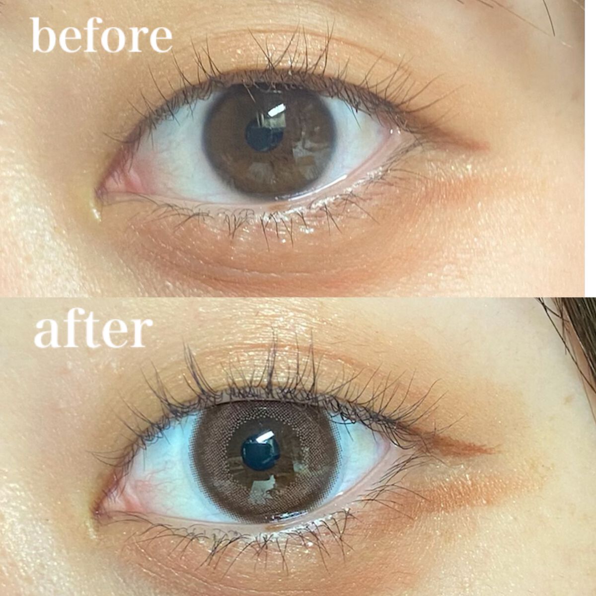 Cheritta 1day メロウロゼ(Mellow Rose)/Cheritta/ワンデー（１DAY）カラコンを使ったクチコミ（3枚目）