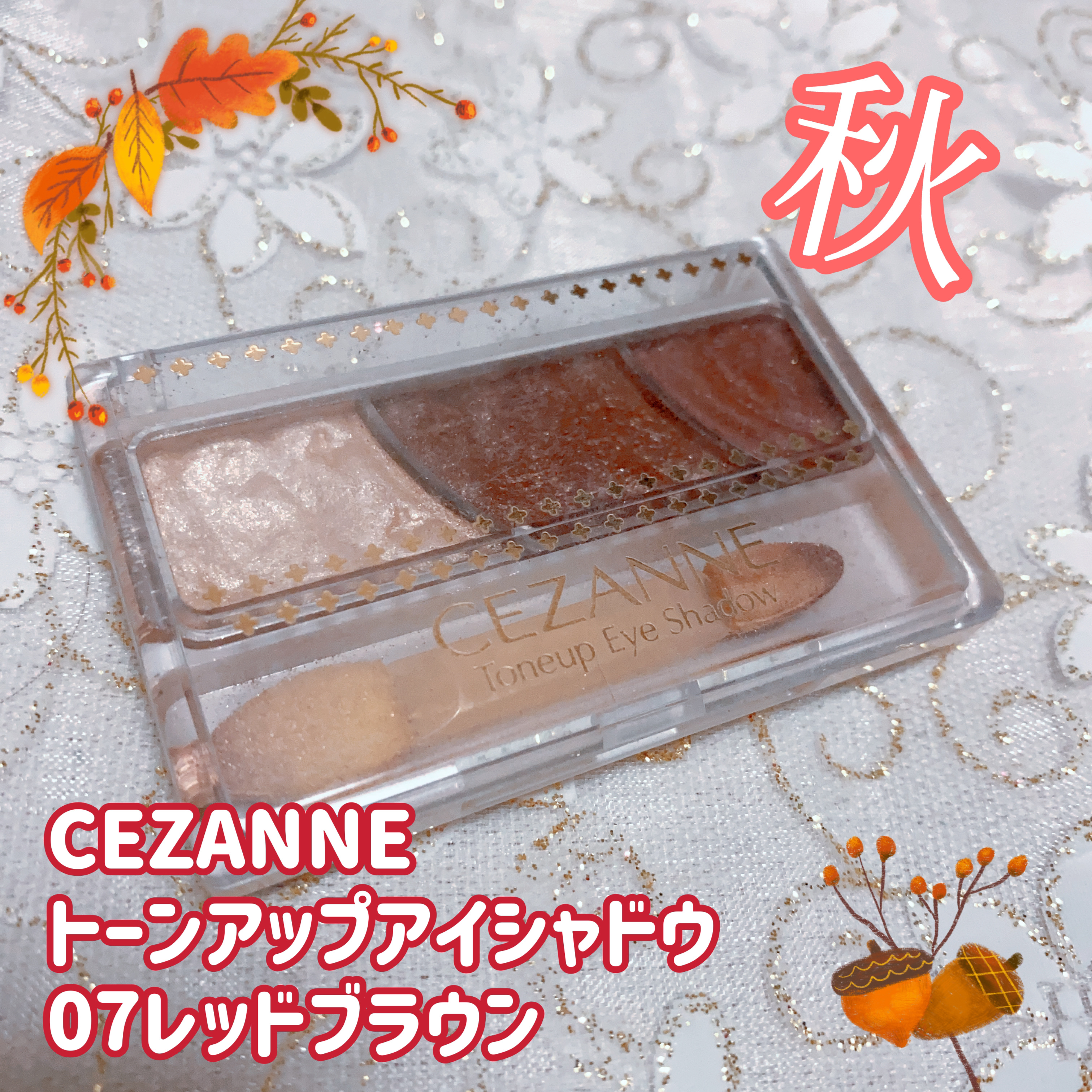 トーンアップアイシャドウ/CEZANNE/アイシャドウパレットを使ったクチコミ（1枚目）