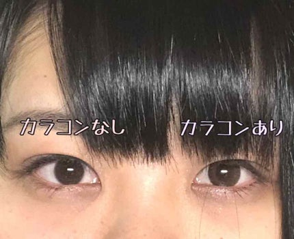 feliamo 1day エスプレッソ/feliamo/ワンデー(1DAY)カラコンを使ったクチコミ(2枚目)