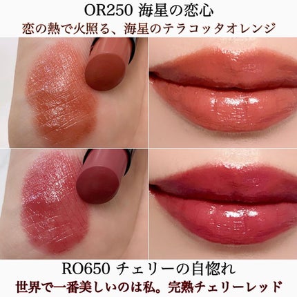 ネンマクフェイク ルージュ/Visée/口紅を使ったクチコミ(6枚目)