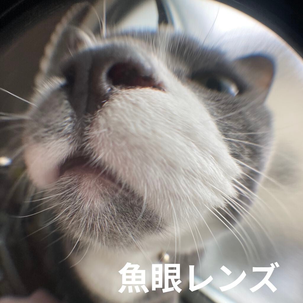 接写&魚眼レンズ/DAISO/その他を使ったクチコミ(4枚目)