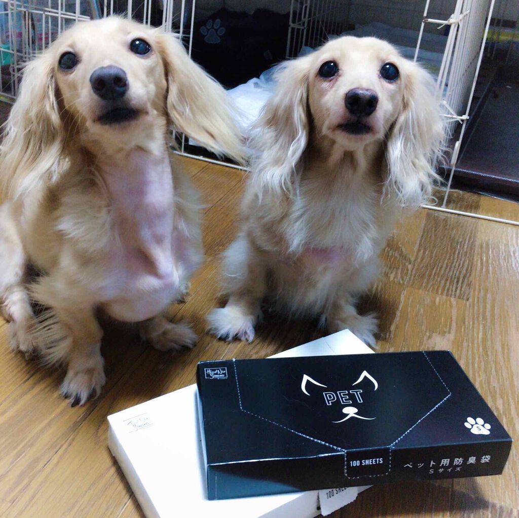 相談/その他を使ったクチコミ（1枚目）