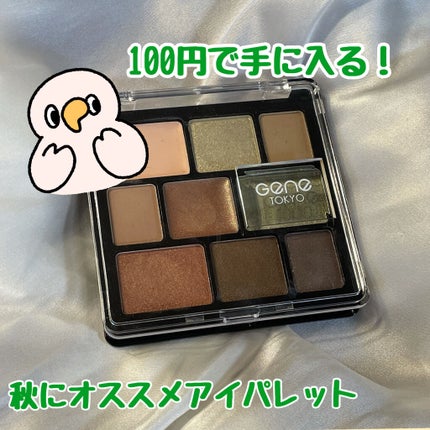 ムードアイシャドウパレット/GENE TOKYO/アイシャドウパレットを使ったクチコミ(1枚目)
