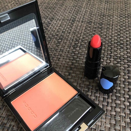 ピュア カラー ブラッシュ/SUQQU/パウダーチークを使ったクチコミ(1枚目)