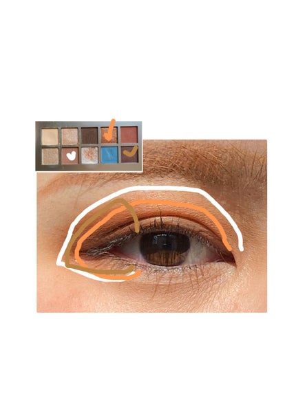 ニューデップスアイシャドウパレット/hince/アイシャドウパレットを使ったクチコミ(2枚目)