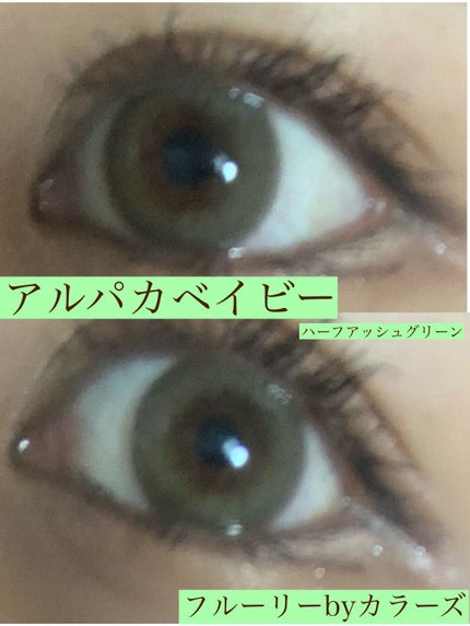 Flurry by colors 1day/Flurry by colors/ワンデー(1DAY)カラコンを使ったクチコミ(1枚目)