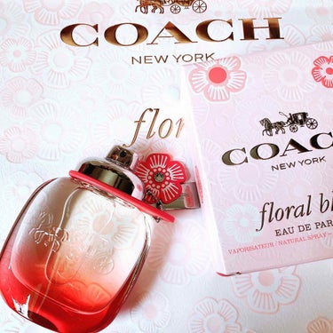 \COACH フローラルブラッシュ EDP/



限定につられてしまった、、笑


ピーチとお花の可愛い香り❤️🧡💚


トップはフレッシュで、ラストはフルーティーでありつつも、ふんわりとした優しい甘