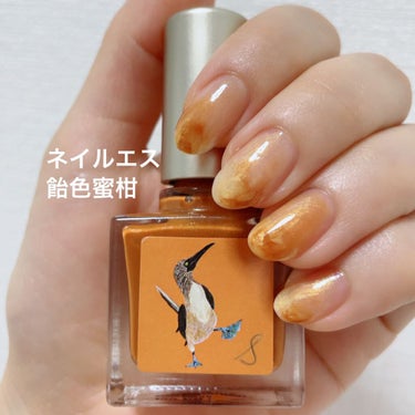 ネイルエス/ nail S(ネイルエス) /マニキュアを使ったクチコミ（1枚目）