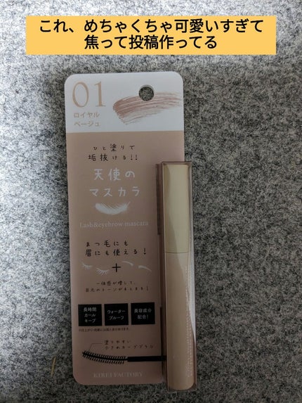 ラッシュ&アイブロウマスカラ/KIREI FACTORY/マスカラを使ったクチコミ(1枚目)