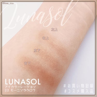 アイカラーレーション/LUNASOL/アイシャドウパレットを使ったクチコミ（2枚目）