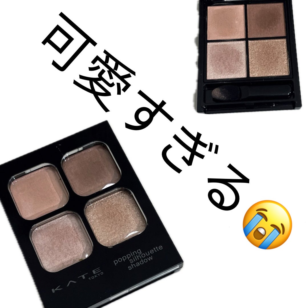 ケイト ポッピングシルエットシャドウ/KATE/アイシャドウパレットを使ったクチコミ(1枚目)