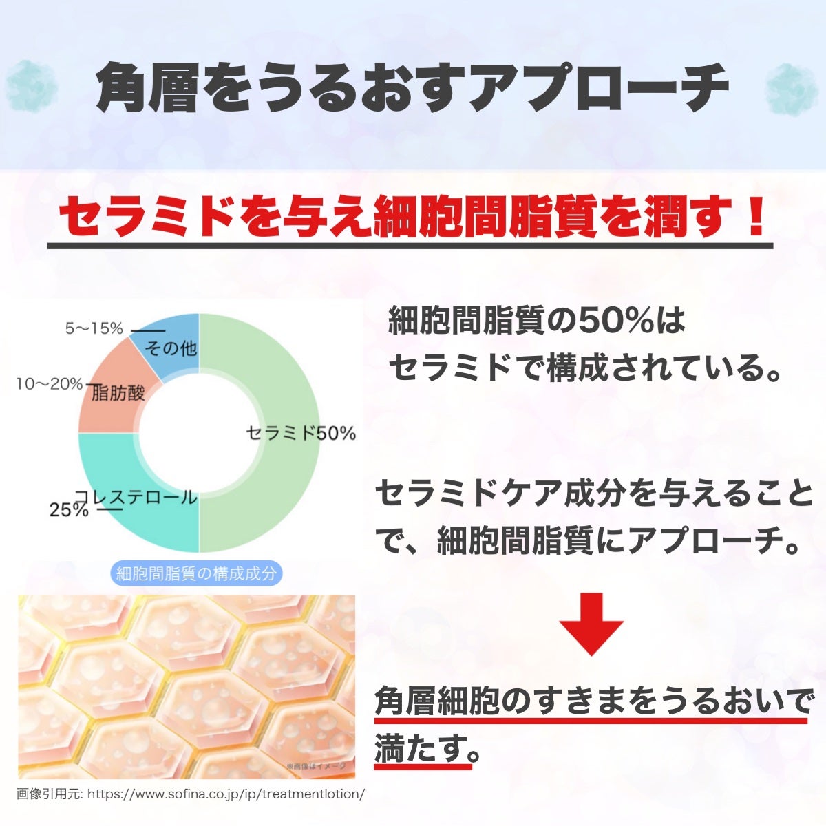 ソフィーナ iP 角層トリートメント 基礎化粧液/SOFINA iP/化粧水を使ったクチコミ(5枚目)