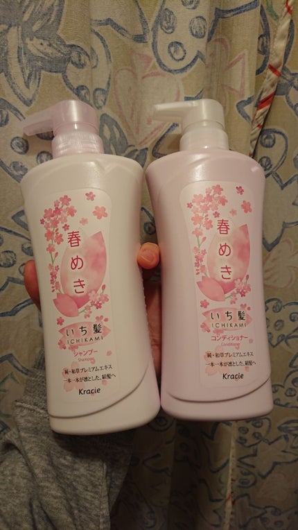 シャンプー/コンディショナー(春めきの香り)/いち髪/市販シャンプーを使ったクチコミ(1枚目)