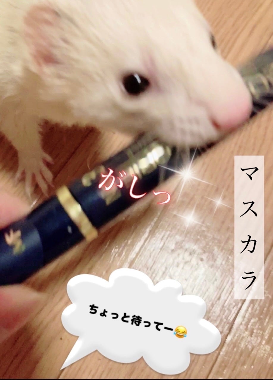 ゆぽぽㄘゃん(フォロバ100) on LIPS 「今月の使い切りコスメちゃんは、マックスファクターのマスカラです..」(1枚目)