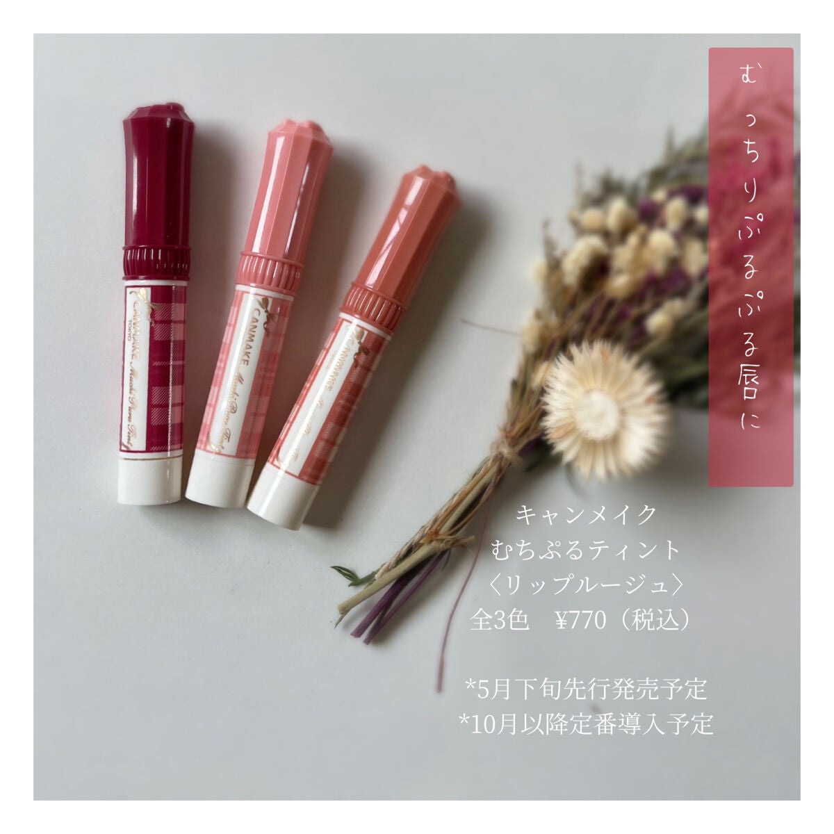 むちぷるティント/キャンメイク/リップティントを使ったクチコミ(1枚目)