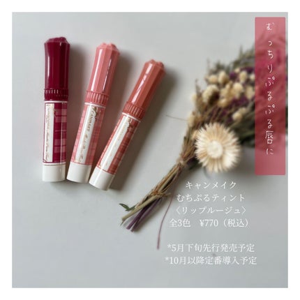 むちぷるティント/キャンメイク/リップティントを使ったクチコミ(1枚目)