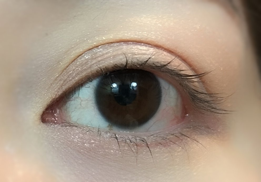 ラスティングマルチアイベース WP/キャンメイク/アイシャドウベースを使ったクチコミ（3枚目）