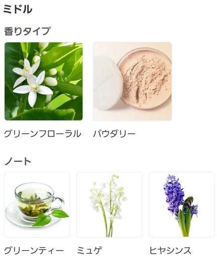 オードトワレ グリーンティー/KIMAMALabo/香水(レディース)を使ったクチコミ(5枚目)