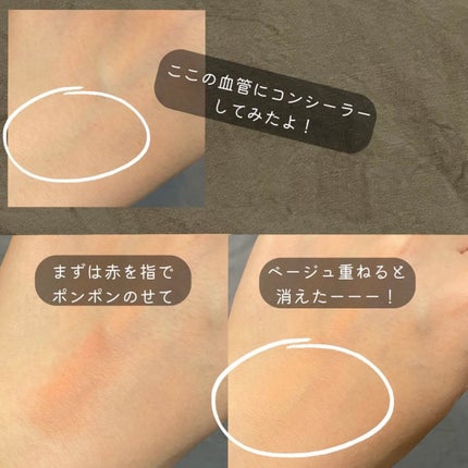 リシェ レッドトリック アイコンシーラー/Visée/パレットコンシーラーを使ったクチコミ(3枚目)
