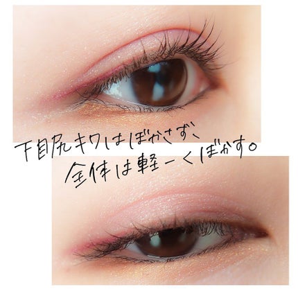 コントロールカラーライナー/WHOMEE/ペンシルアイライナーを使ったクチコミ(5枚目)