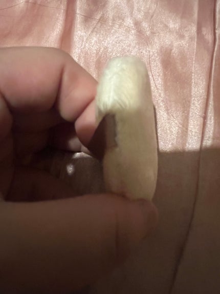 シルキールースモイストパウダー/キャンメイク/ルースパウダーを使ったクチコミ(3枚目)