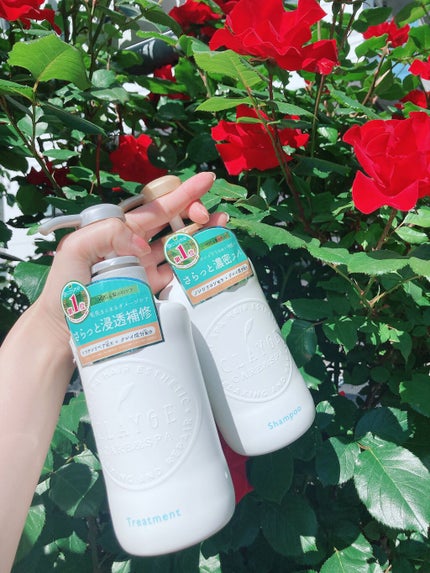 シャンプー/トリートメント SN さらさら/CLAYGE/シャンプー・コンディショナーを使ったクチコミ(1枚目)