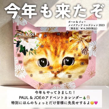 メイクアップ コレクション 2023/PAUL & JOE BEAUTE/メイクアップキットを使ったクチコミ（2枚目）