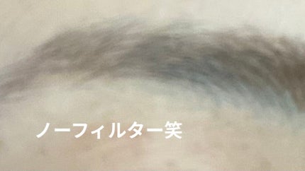 書き足し眉ティントSV /Fujiko/眉ティントを使ったクチコミ(1枚目)