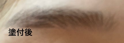 フィルム眉カラー/デジャヴュ/眉マスカラを使ったクチコミ(3枚目)