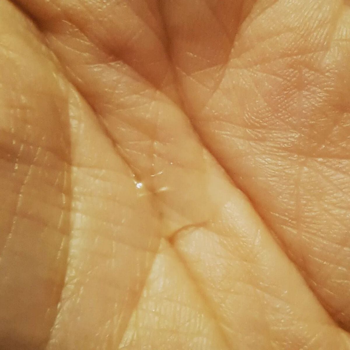 ブライトニング 化粧液 II しっとり<医薬部外品>/ファンケル/化粧水を使ったクチコミ(3枚目)