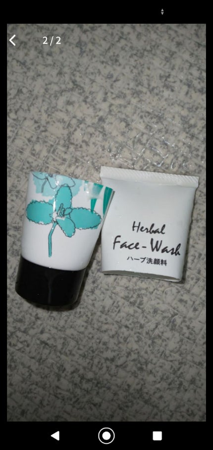ハーブ洗顔料(ミント)/DAISO/洗顔フォームを使ったクチコミ(1枚目)