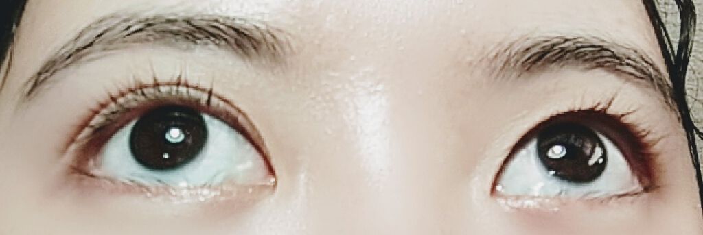 アイラッシュカーラー バネ付/DAISO/ビューラーを使ったクチコミ(4枚目)