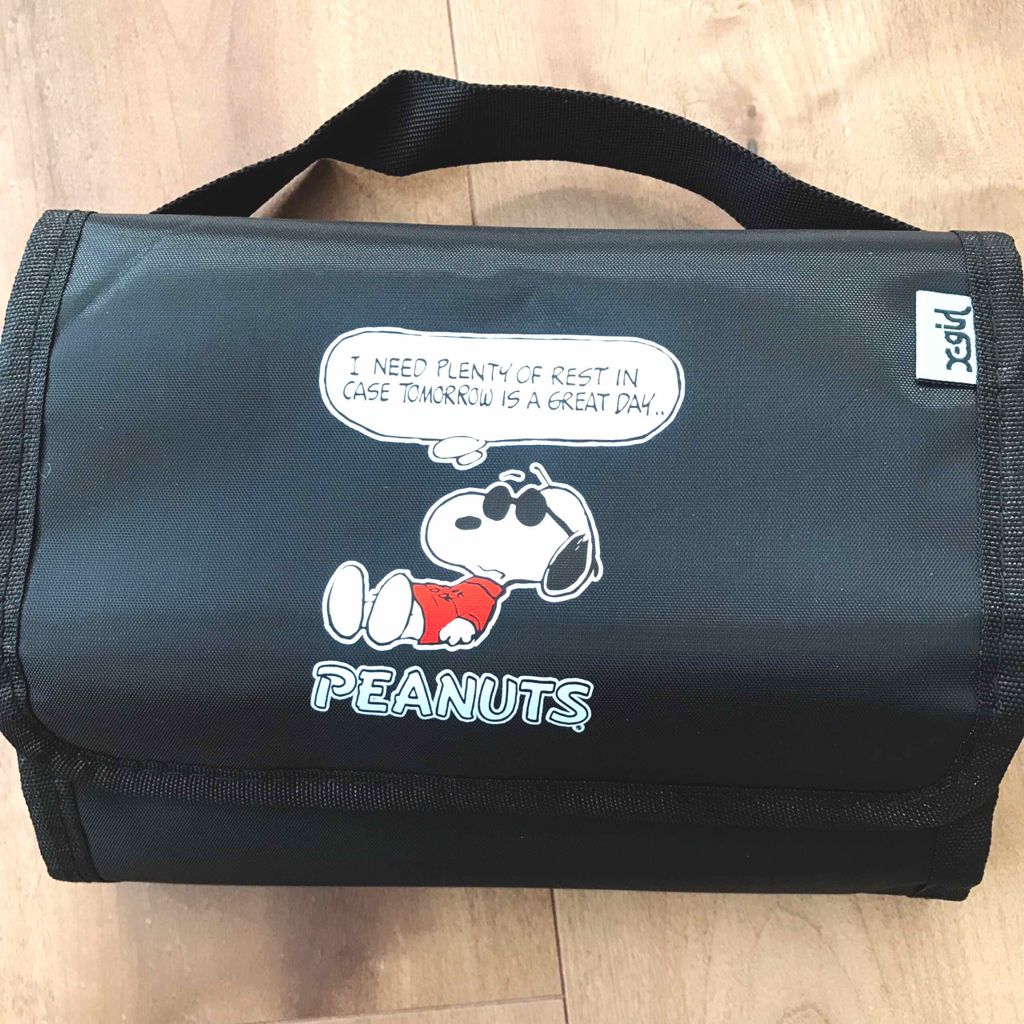 saryu(休止中) on LIPS 「雑談?ですが、雑誌mini5月号の付録が良かったので載せます✨..」(2枚目)