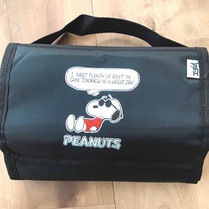 saryu(休止中) on LIPS 「雑談?ですが、雑誌mini5月号の付録が良かったので載せます✨..」(2枚目)