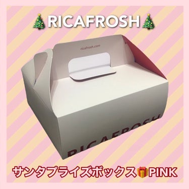 サンタプライズボックス/RICAFROSH/メイクアップキットを使ったクチコミ（1枚目）