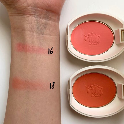 パウダーブラッシュ 18 Desiree(デジレ)/レ・メルヴェイユーズ ラデュレ/パウダーチークを使ったクチコミ(1枚目)