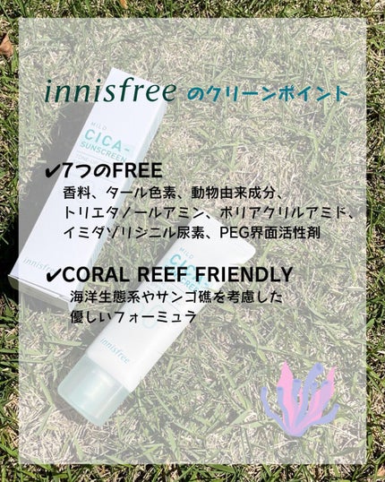 マイルド シカ サンスクリーン SPF50+ / PA++++/innisfree/日焼け止めクリームを使ったクチコミ(2枚目)