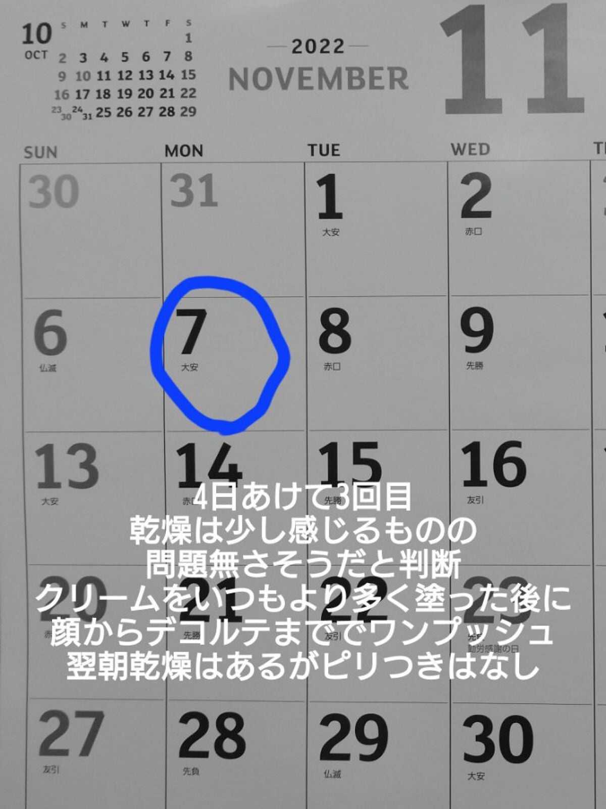 セラミドミルク/TOUT VERT/乳液を使ったクチコミ(5枚目)