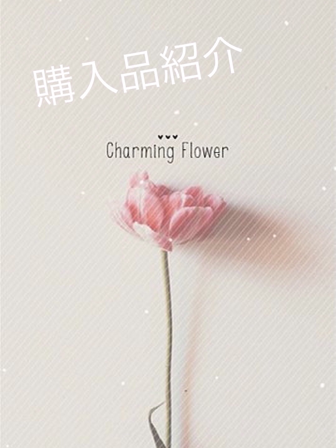 皮脂テカリ防止下地/CEZANNE/化粧下地を使ったクチコミ（1枚目）